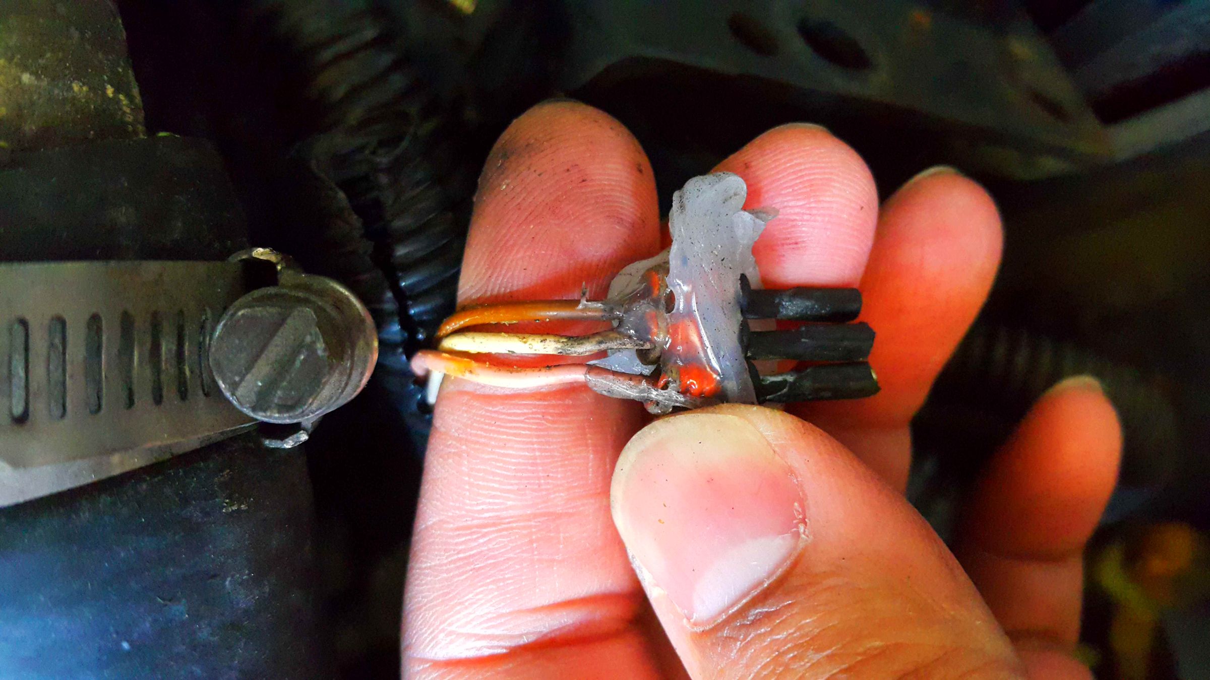 Replacing Transmission Speed Sensors (Hyundai Trajet 2000). 5 Steps