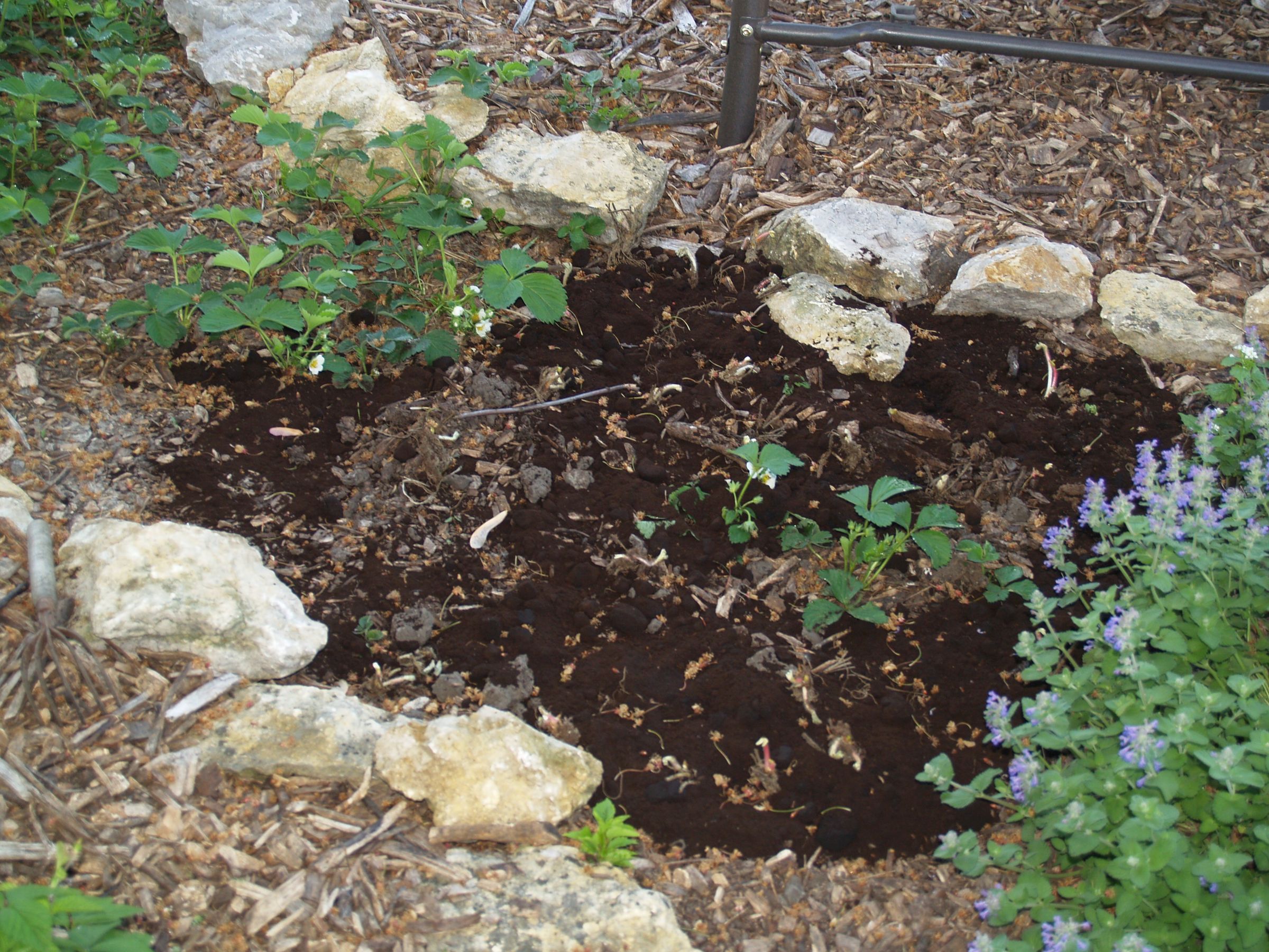 Coffee Grounds... a Gardeners Asset 11 Steps Instructables