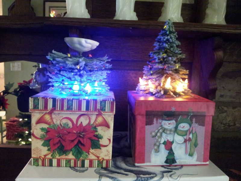 How to Make a Mini Portal Christmas Tree Gift