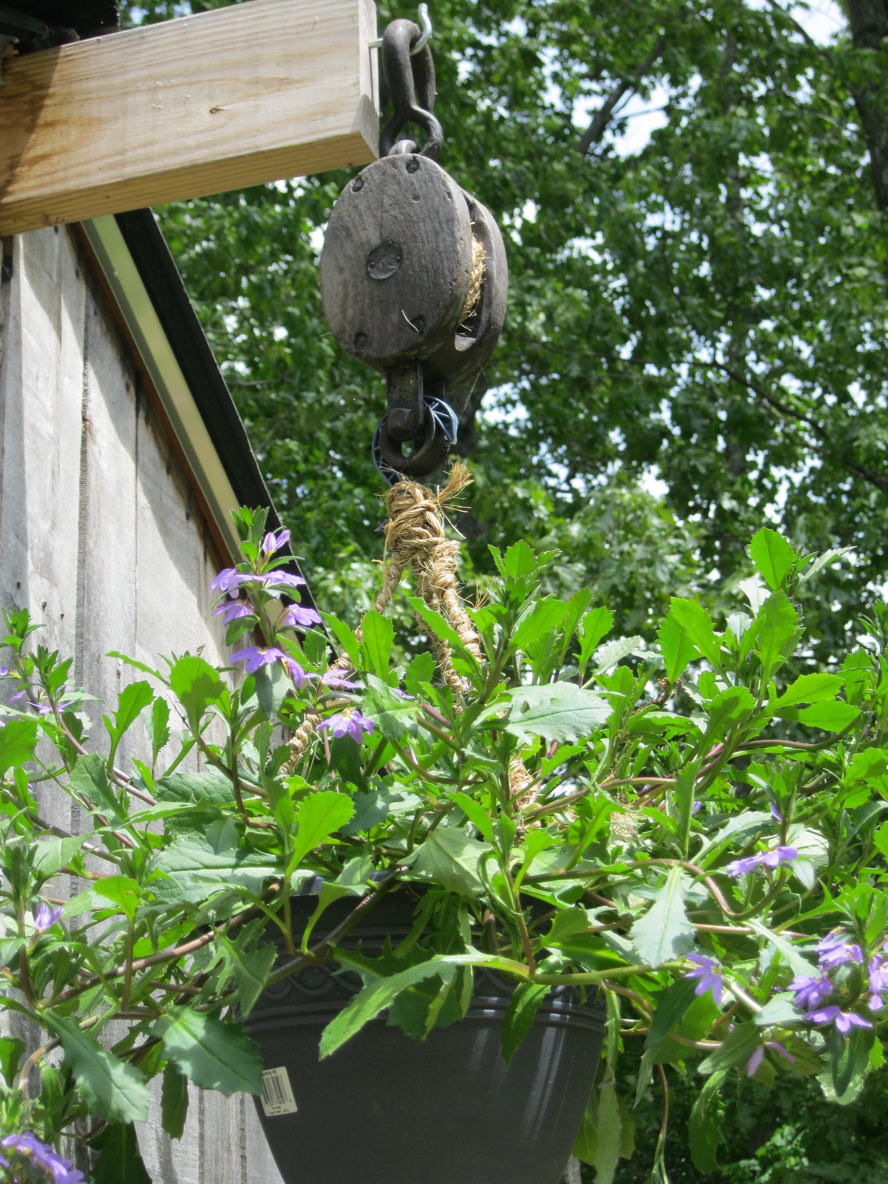 PULLEY PLANTER