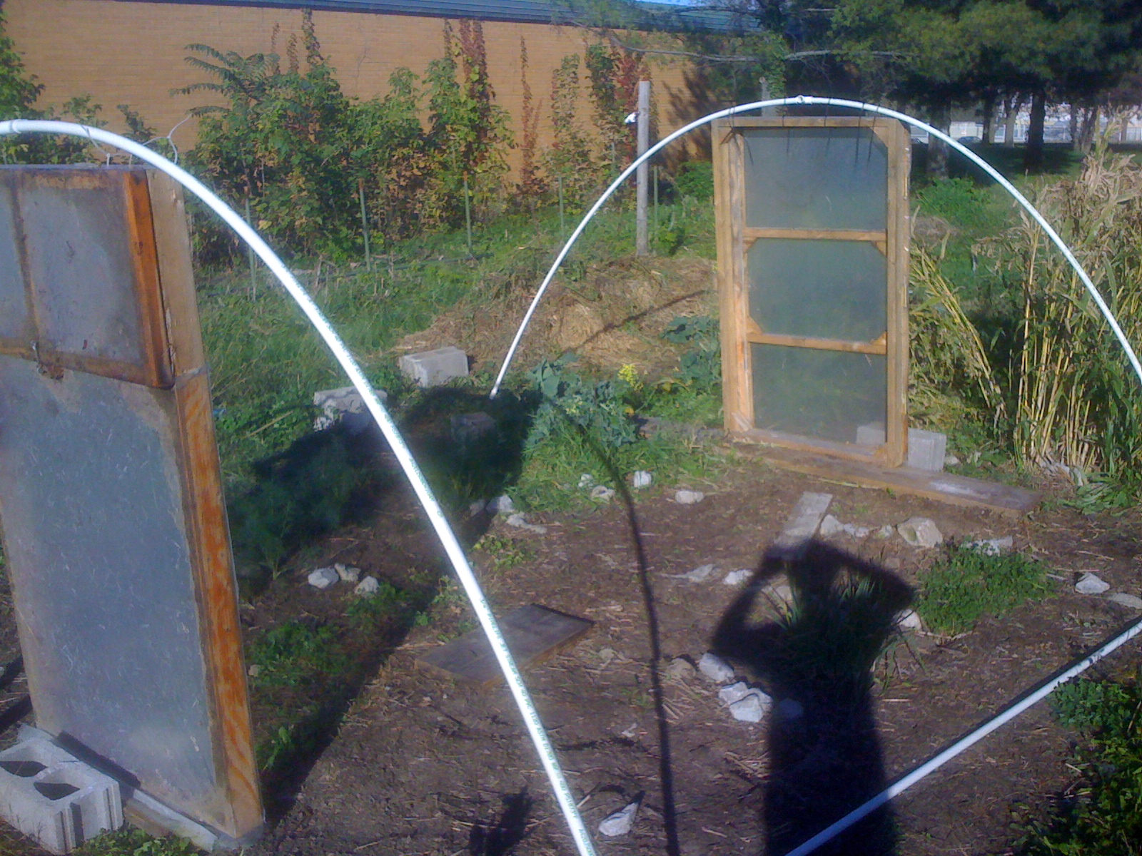 foamposite house of hoops