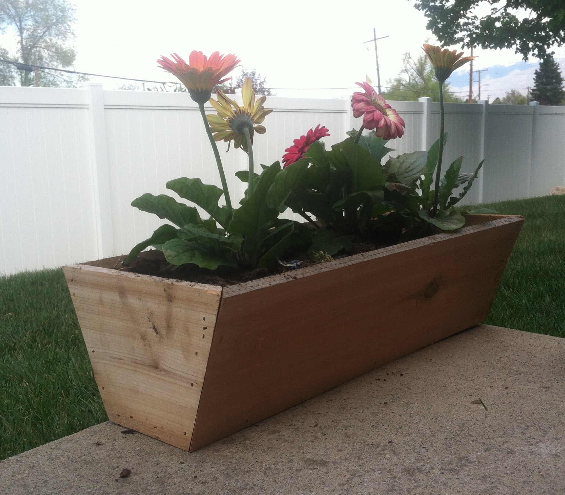 Simple Cedar Flower Box 6 Steps (with Pictures) Instructables