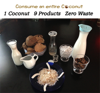 Consume an Entire Coconut: 9 Products - Zero Waste!