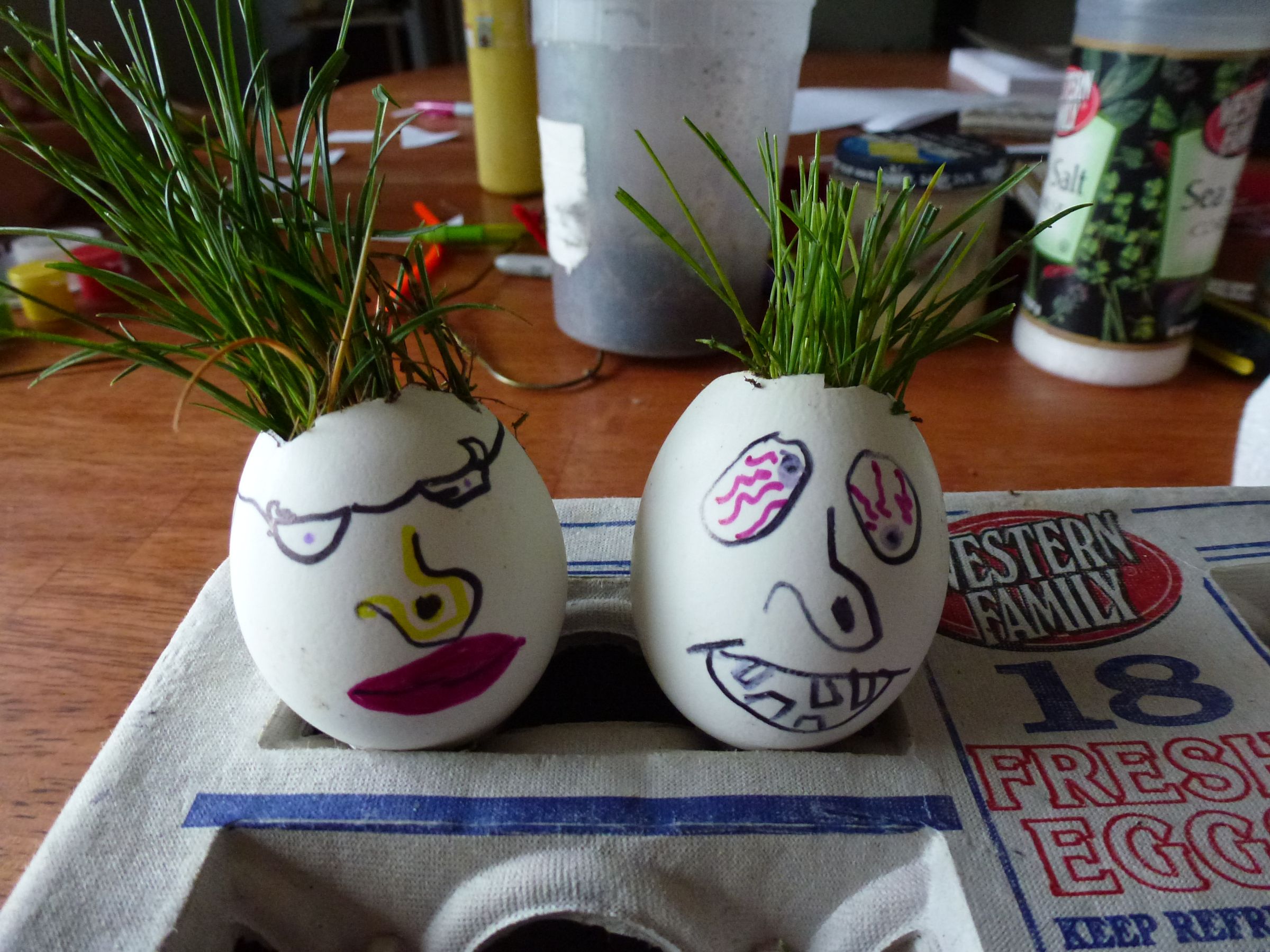 Humpty Dumpty Grassy Heads