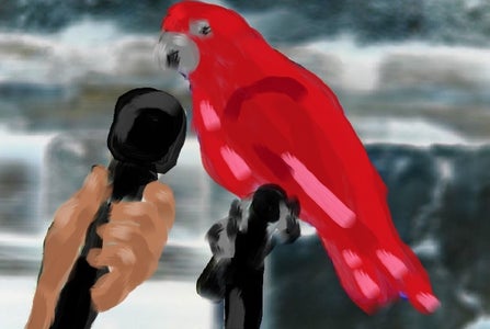 Teach Your Bird to Talk 