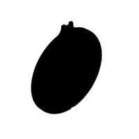 download {{ file.name }}