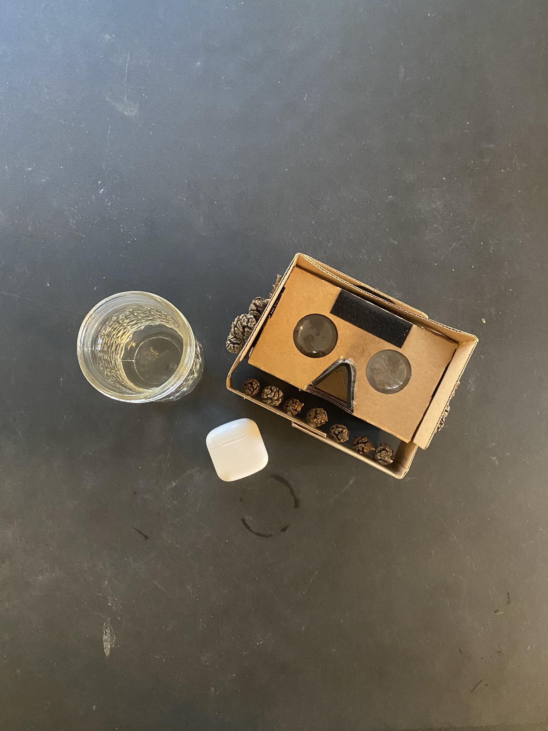 National Forest VR Box