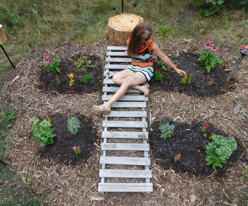 Butterfly Garden
