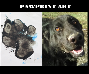 dog safe paw paint