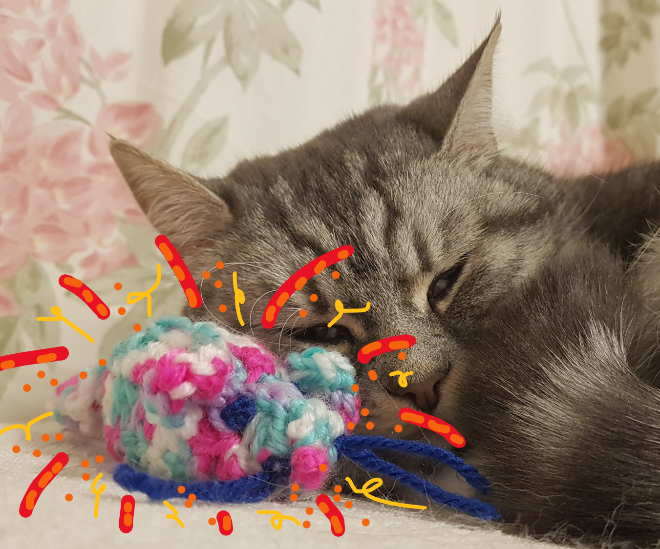 Crochet Warming Cat Toy