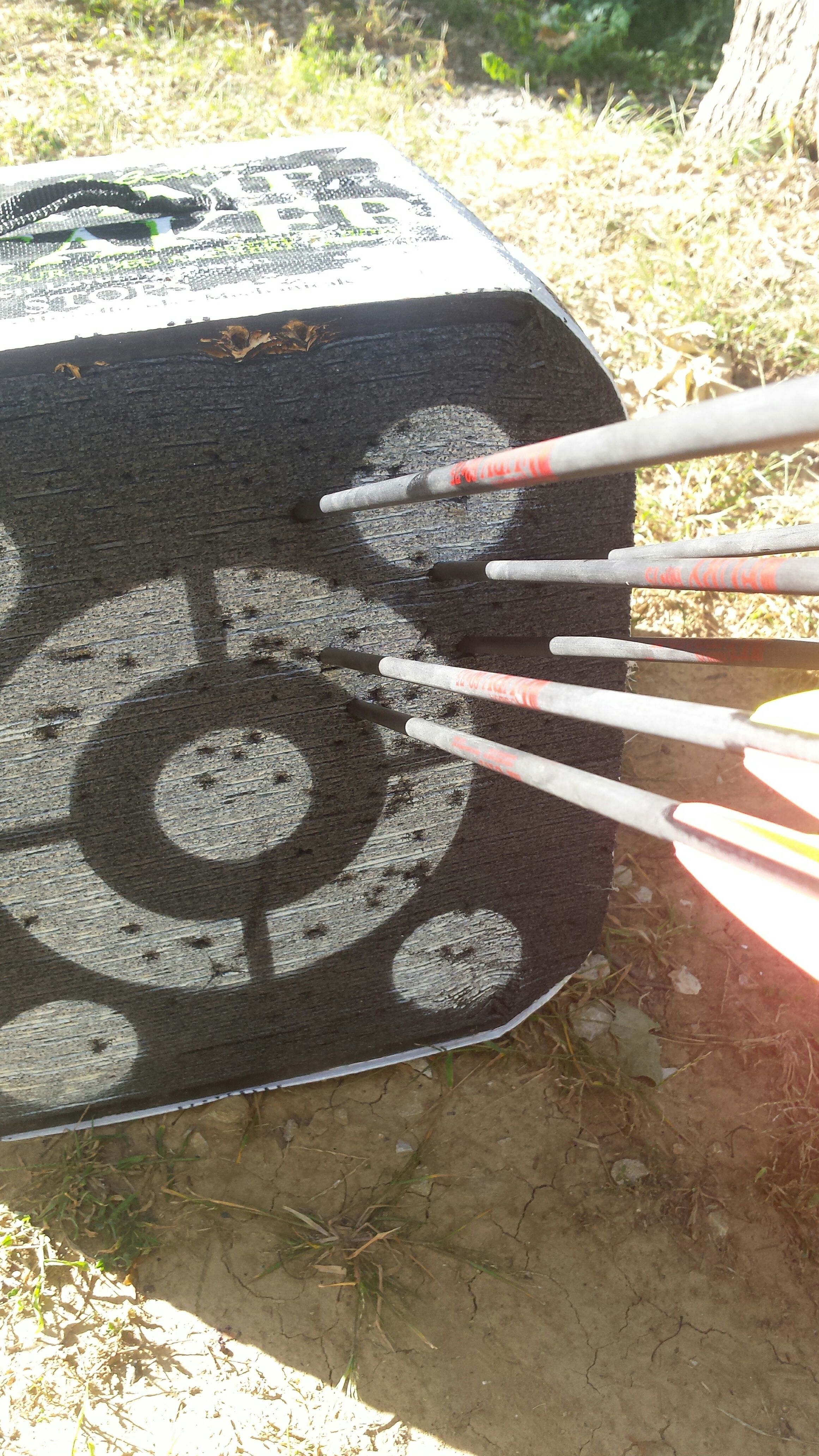 How to Shoot a Compound Bow