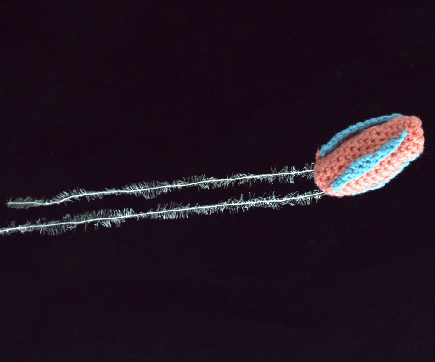 Make Your Own Sea Gooseberry!