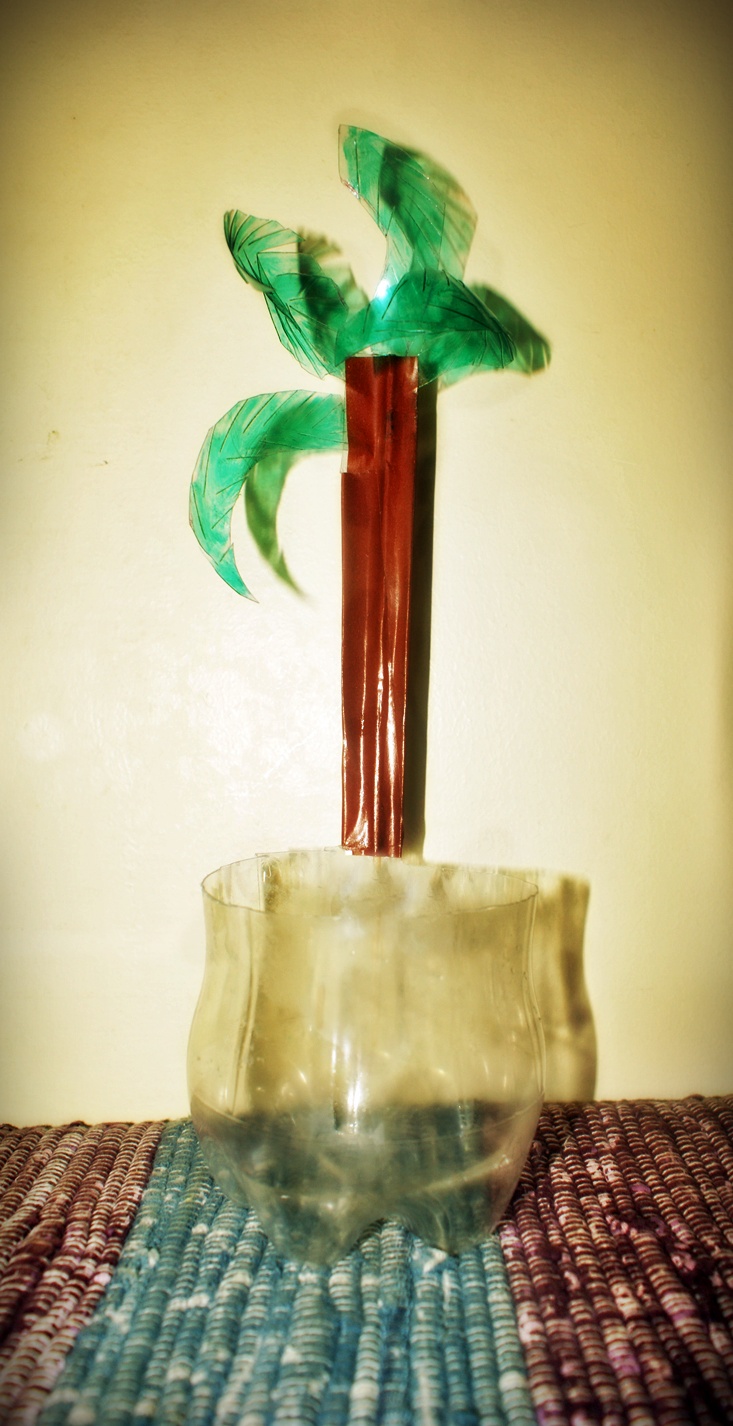 Coconut Tree Plastic Holder
