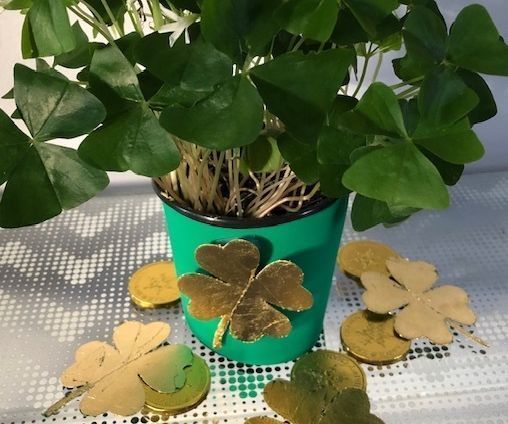 St.Patrick's Day Gold Shamrocks