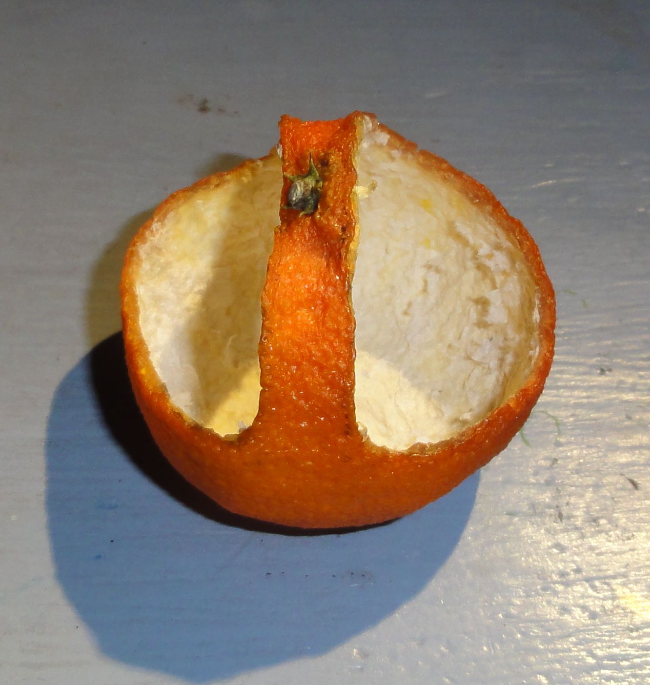 Turn a Clementine Into a Tiny Decorative Basket