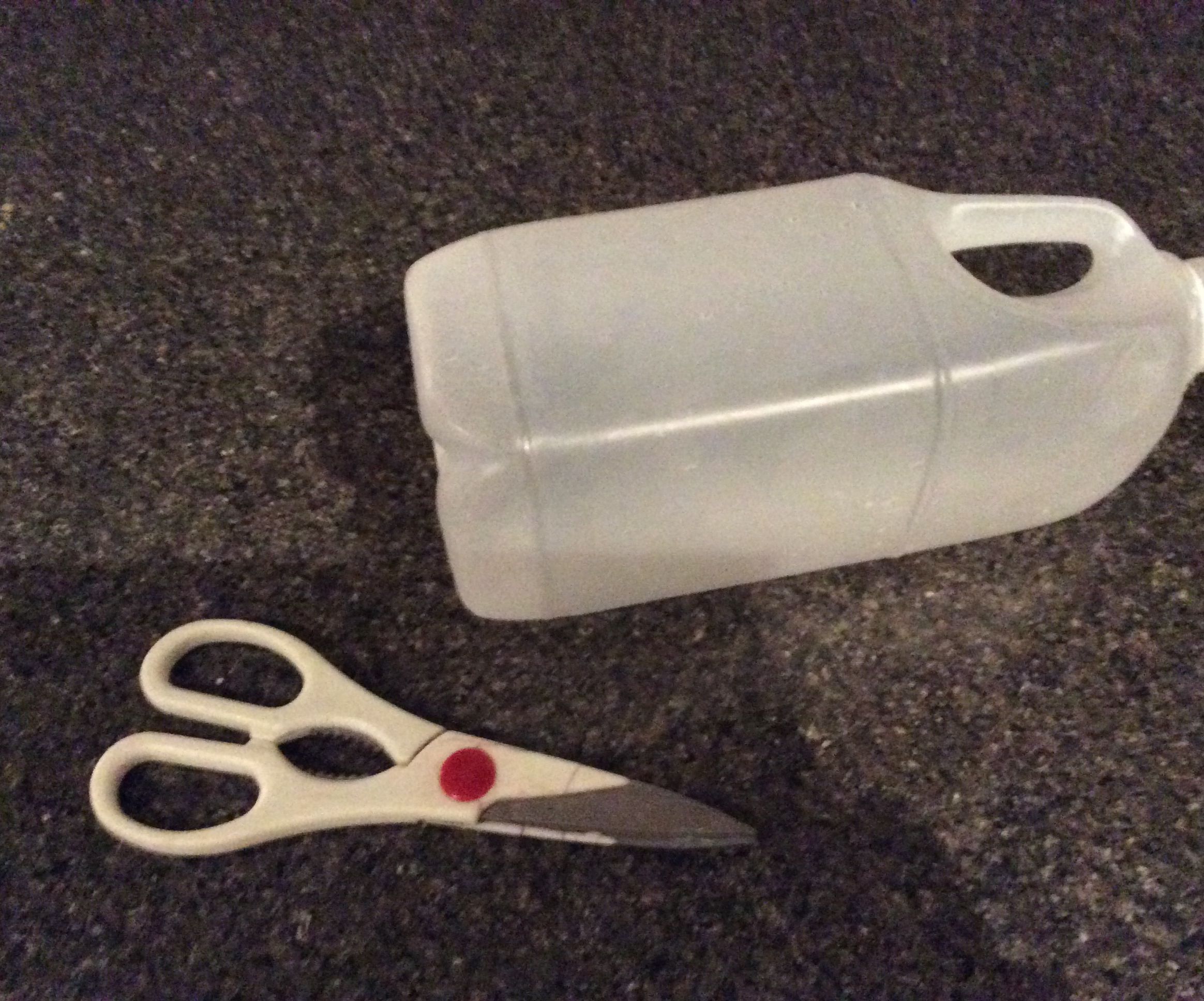 DIYwasp Trap