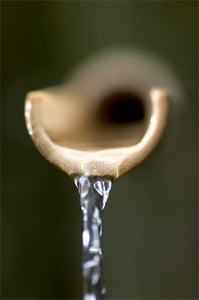 Be on the Lookout for Water