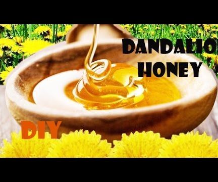 How to Make Dandelion Honey Old Recipe