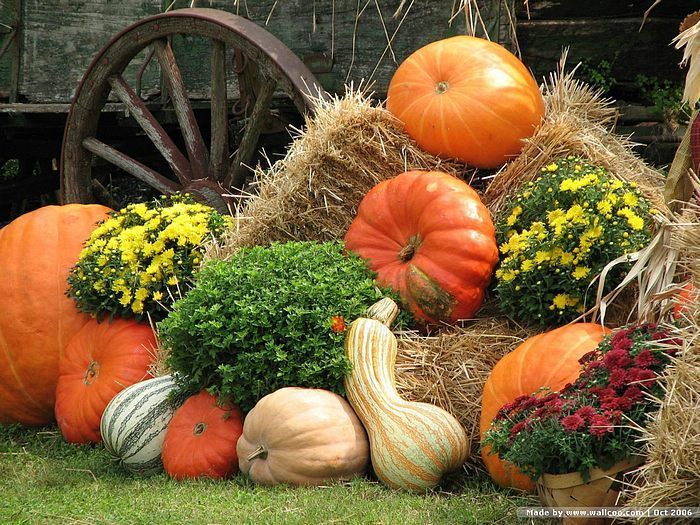 Tutorial For Photo Awter Fall Display How to Create a Fall Outdoor Display : 10 Steps - Instructables