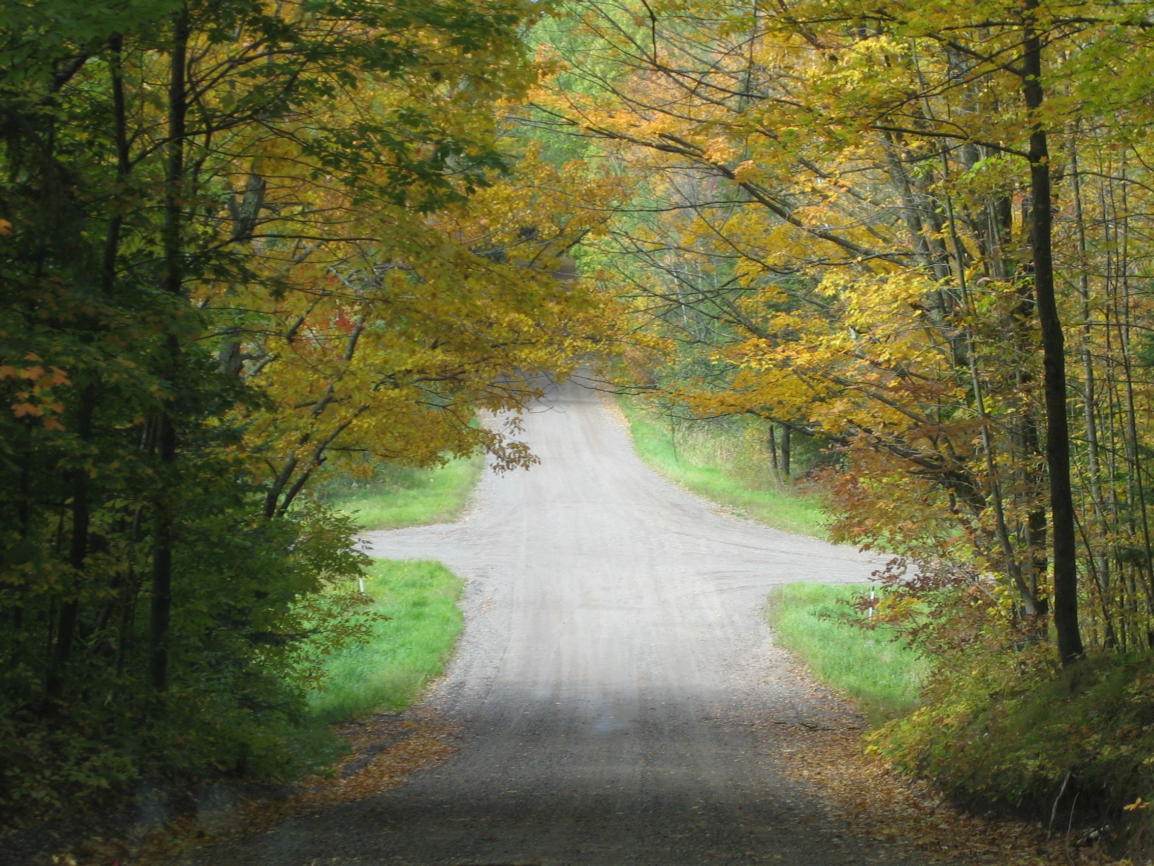 A Two Way Road