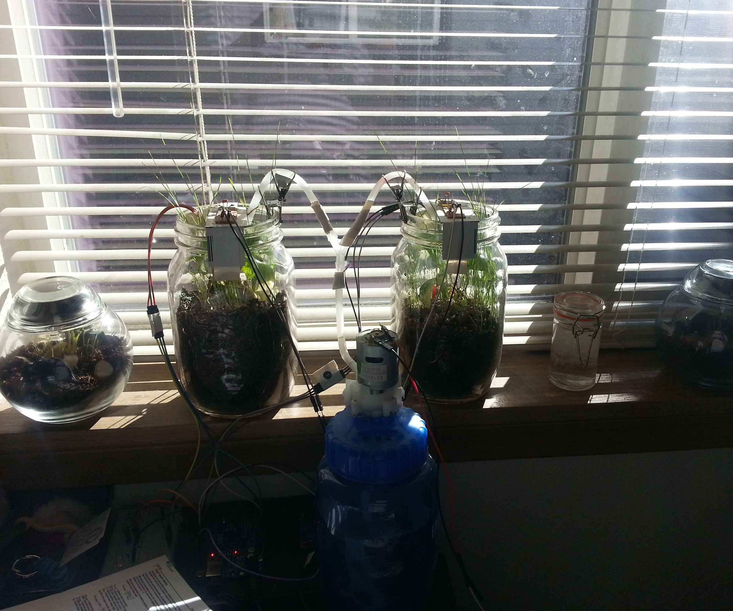 Arduino Self-Watering Plant System