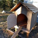 DIY From Dog House to Chicken Coop