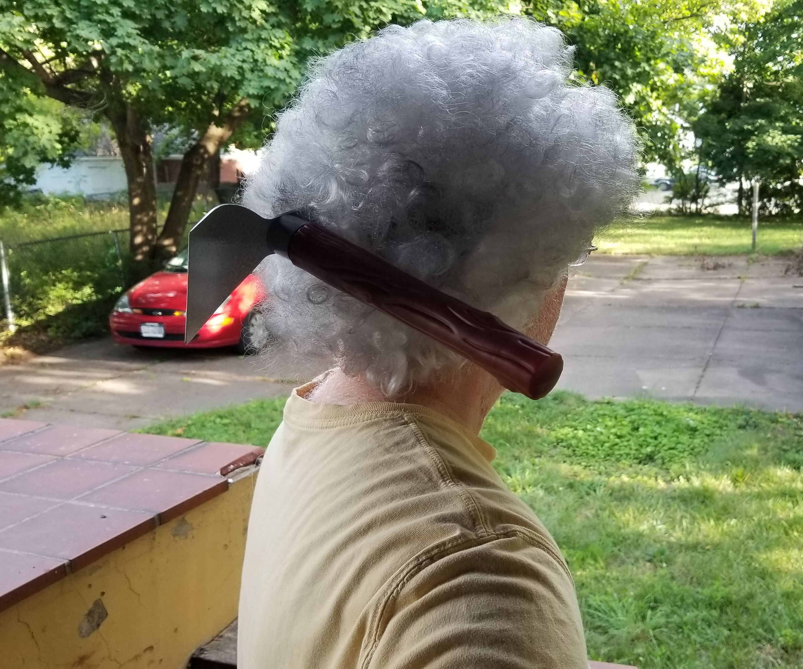 Trotsky's Mountain Climber's Axe