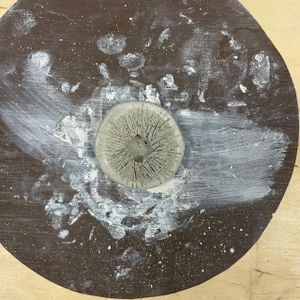 Add Details to the Mushroom Cap