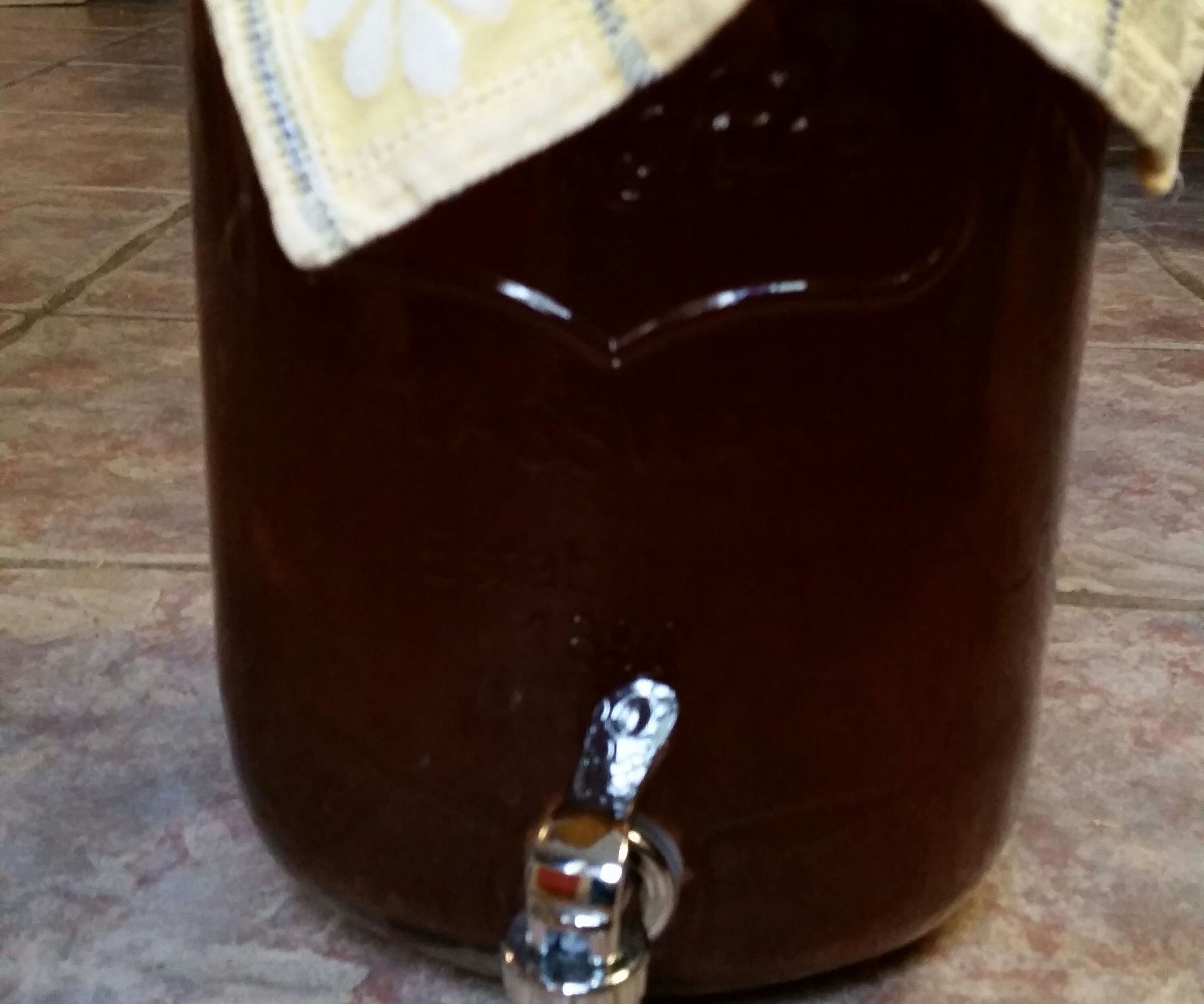 How to Make Kumbucha Tea