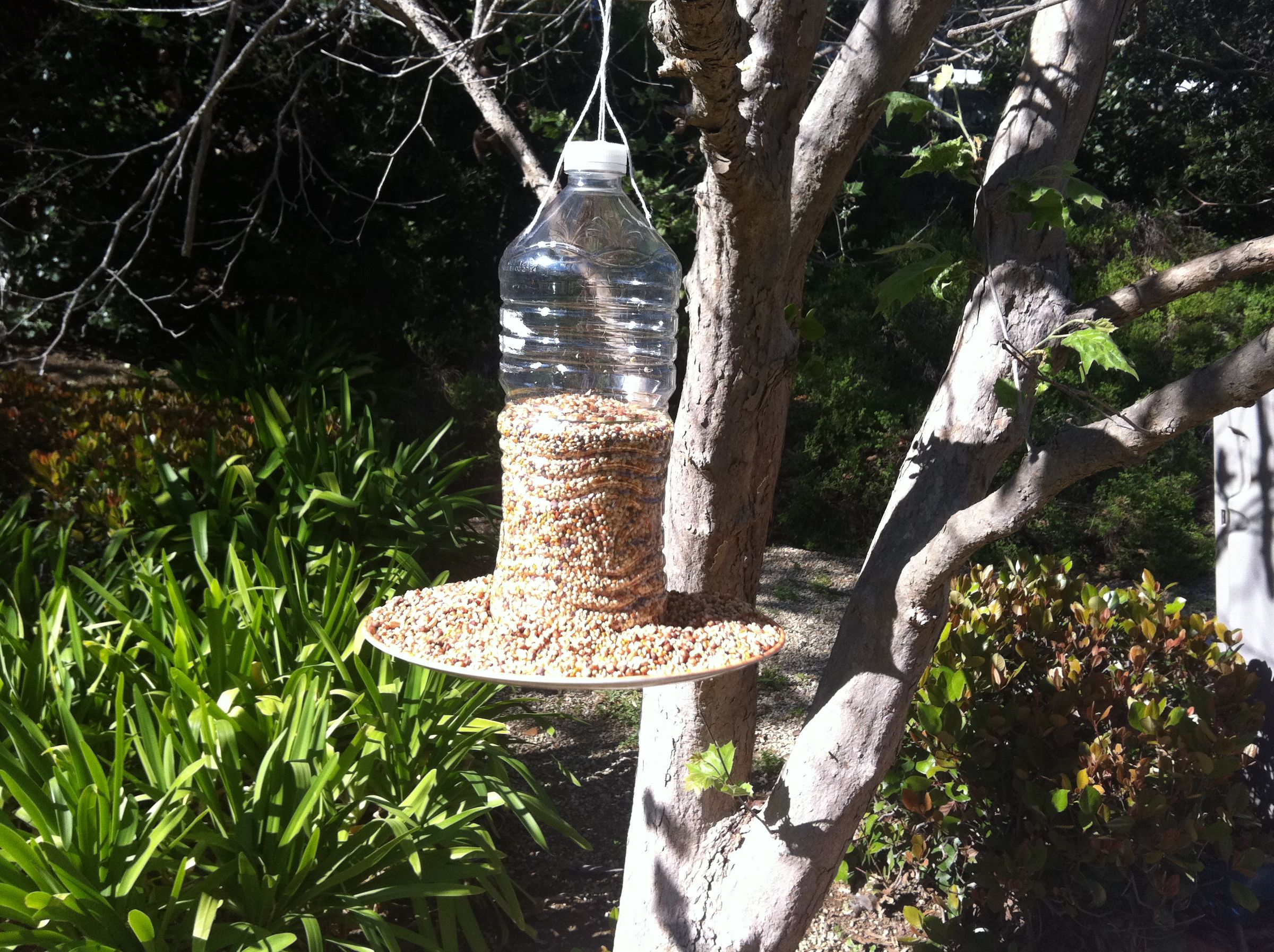 5 Minute Bird Feeder