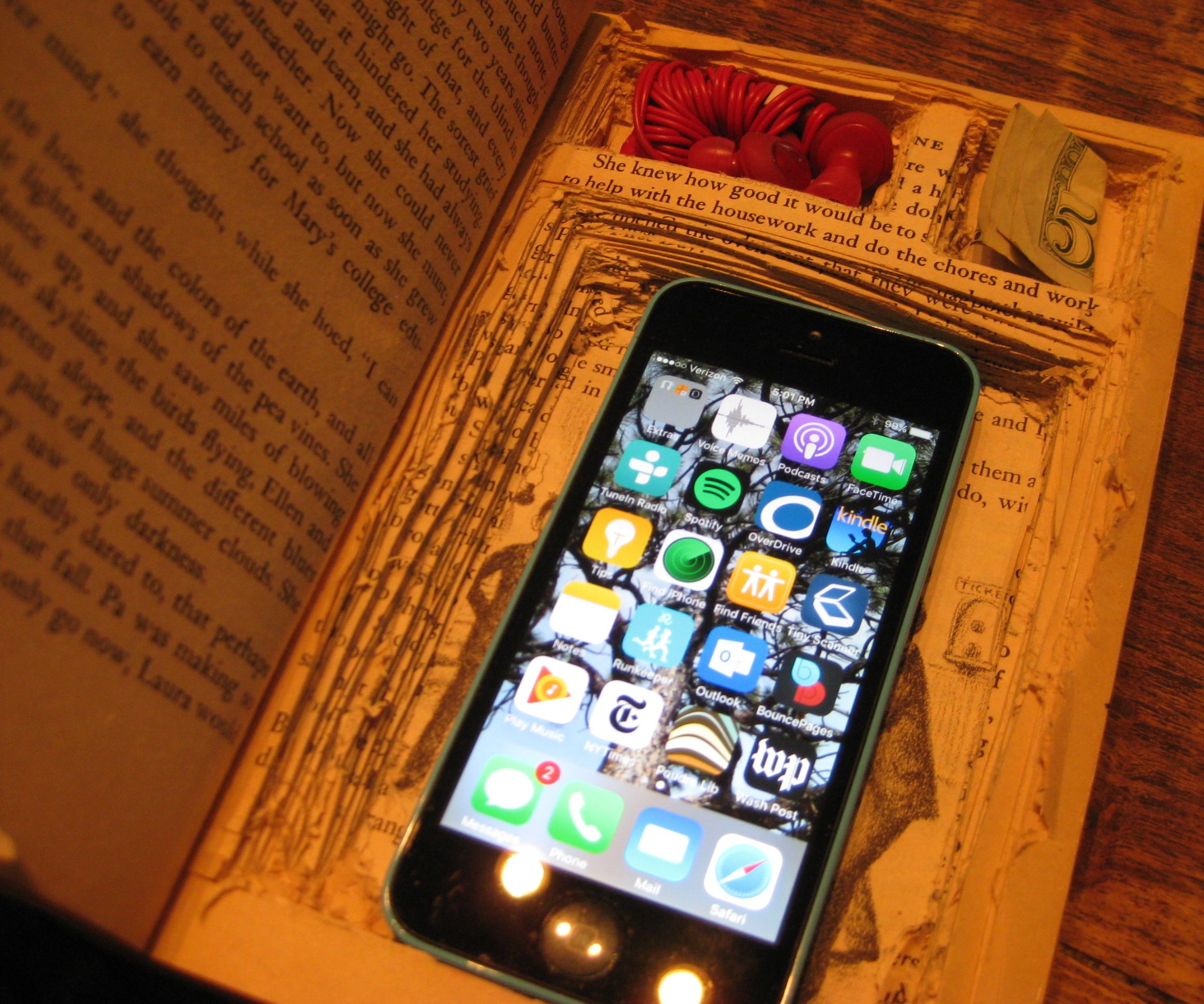 Fake Book Case
