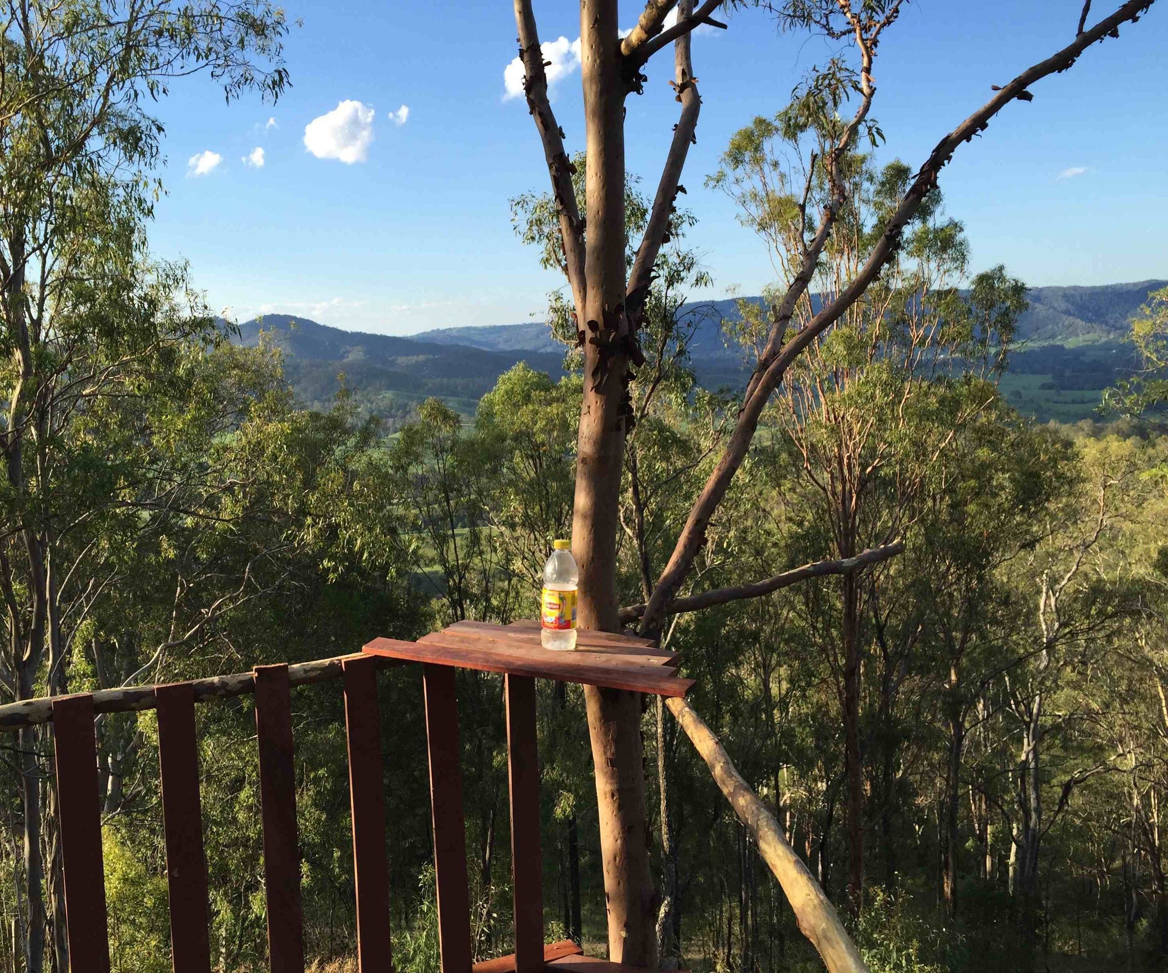 DIY Tree MANOR - Australia Day ready