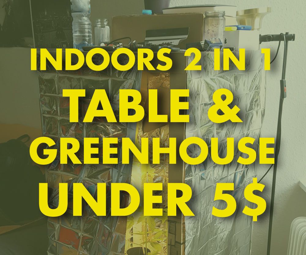 DIY Indoors Greenhouse Under 5$