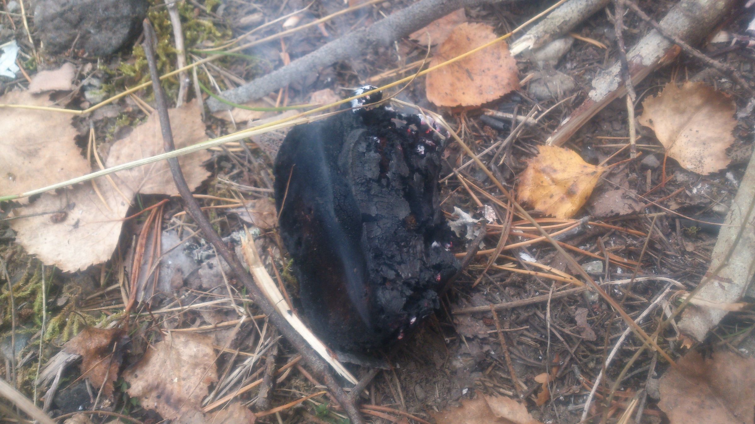 How to Carry Embers 5 Steps (with Pictures) Instructables