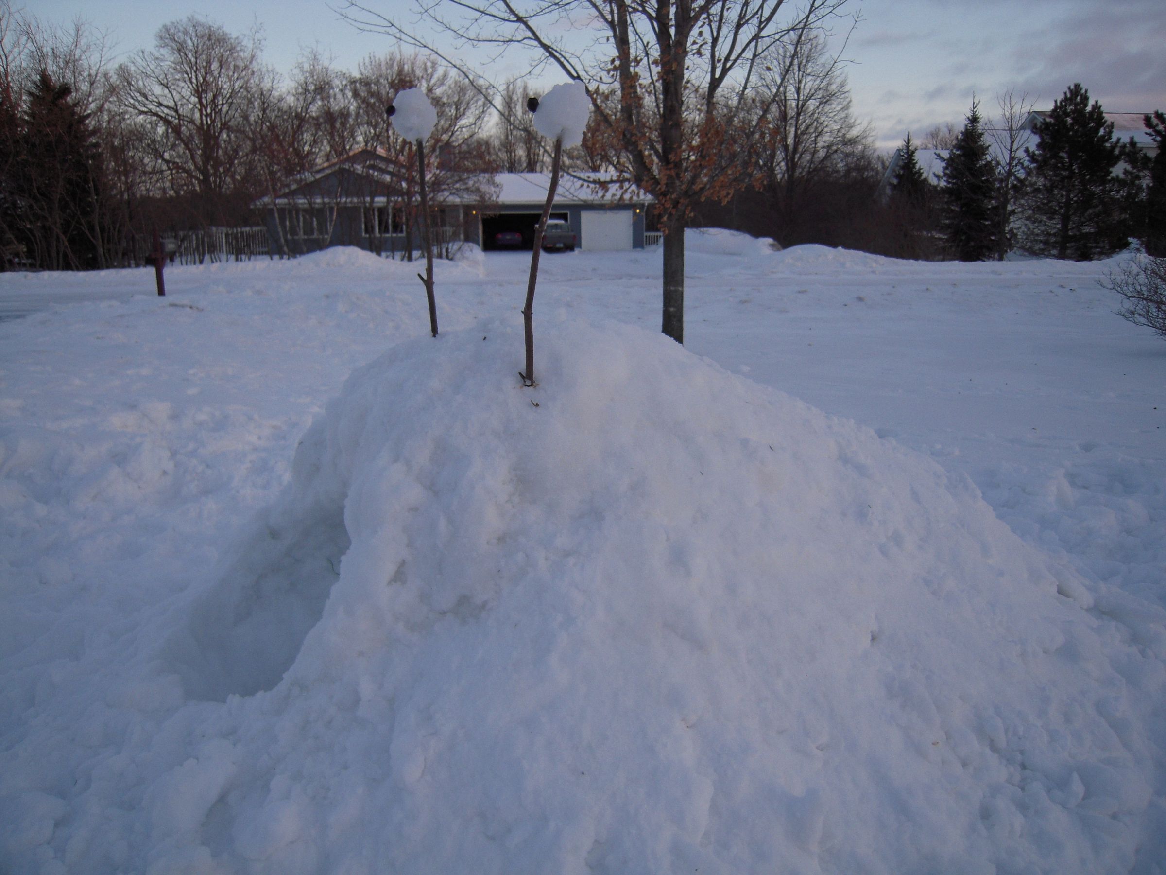 The Dangerous Snow Slug!
