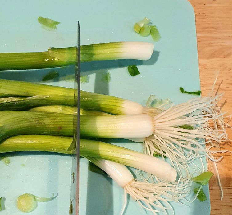 Re-growing Spring Onions : 9 Steps (with Pictures) - Instructables