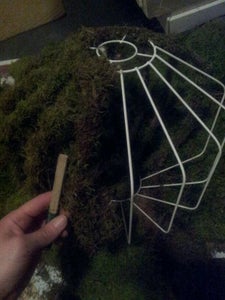 Attach the Moss
