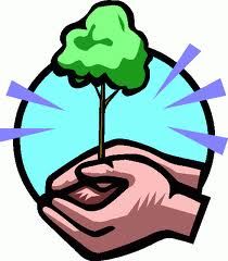 Collection Cover Image: Saving Trees