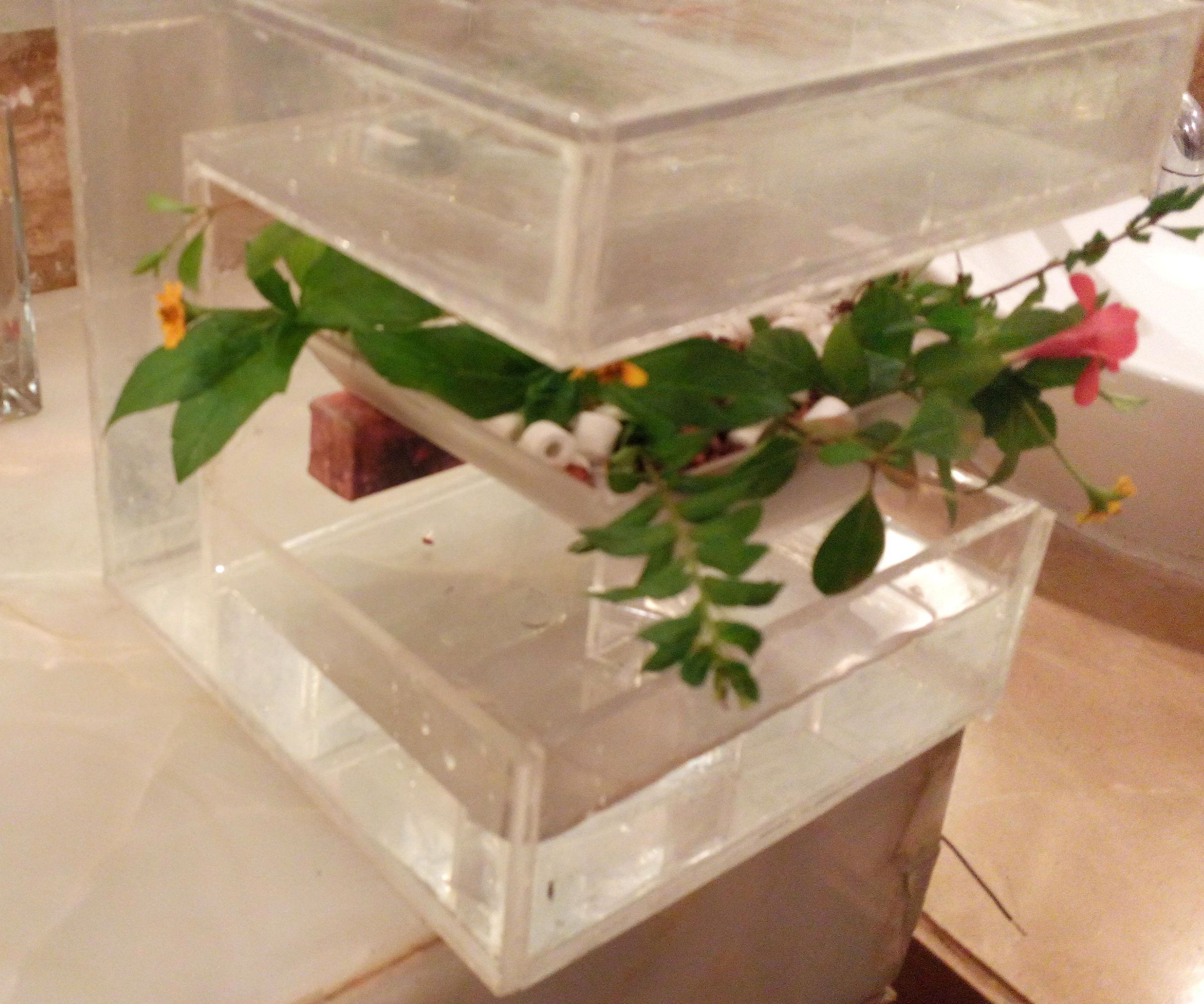 IAquaDesk - IoT Enabled Aquaponics Using Intel Galileo(Intel IoT)