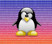 Maintaining Your Crouton Linux System