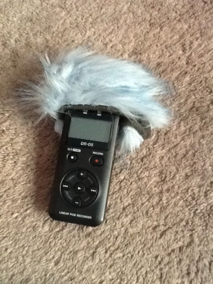 Dead Cat Wind muff    Tascam Dr-05