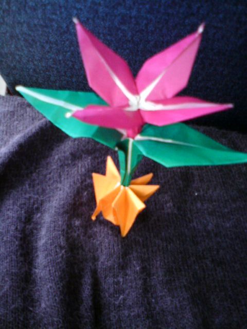 Flower