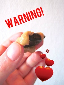 Disclaimer and Warning