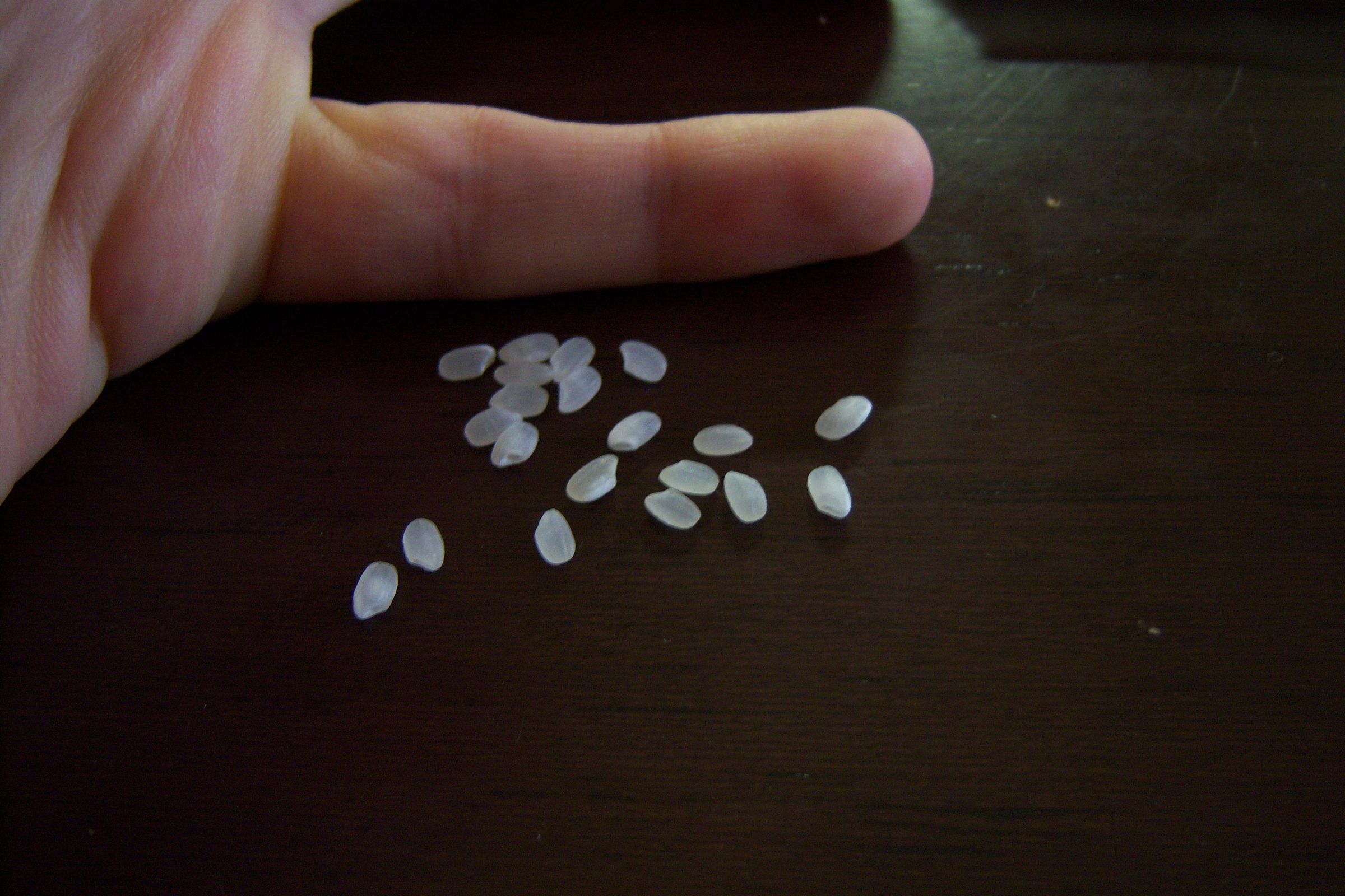 Ingredients (ie. Rice) and Other Stuff