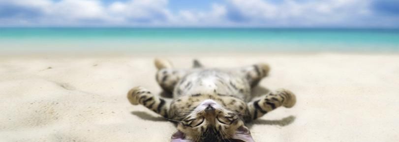 ​Relaxation