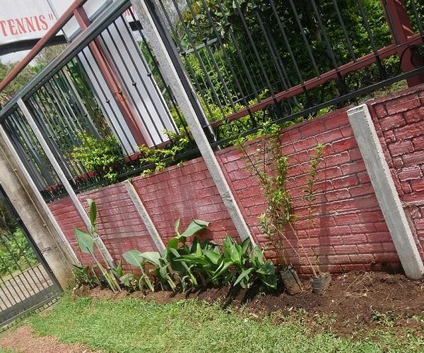 Create a Good Looking Garden