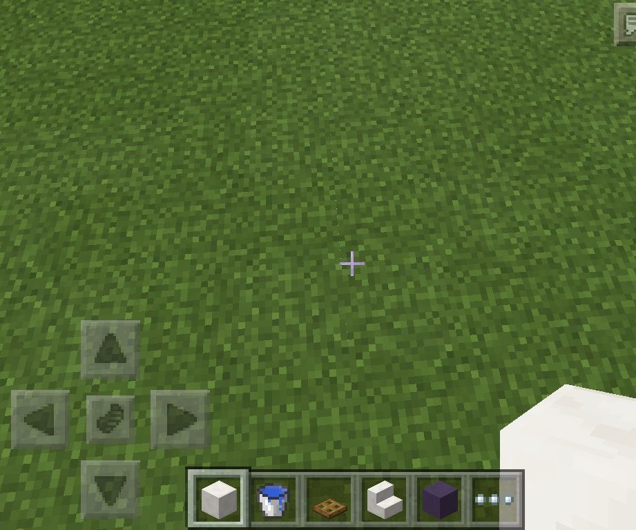 Minecraft Toilet