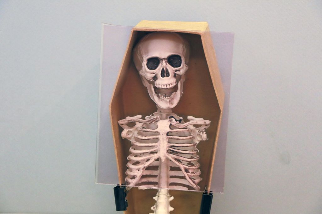 Skeleton Hologram Activated By Doorbell 4 Steps
