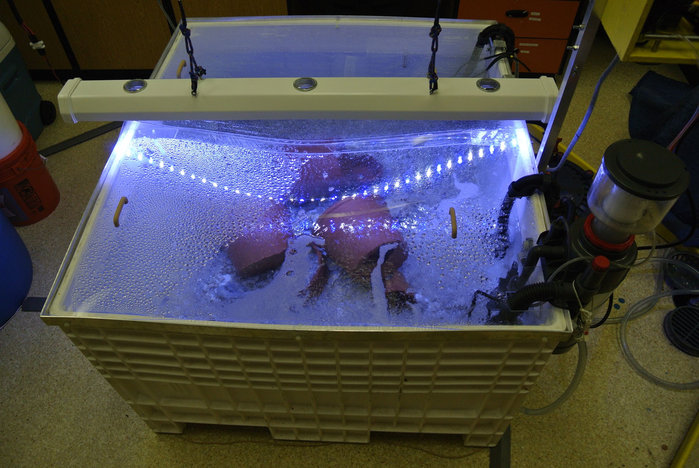 Super Simple Aquarium Leak Detector