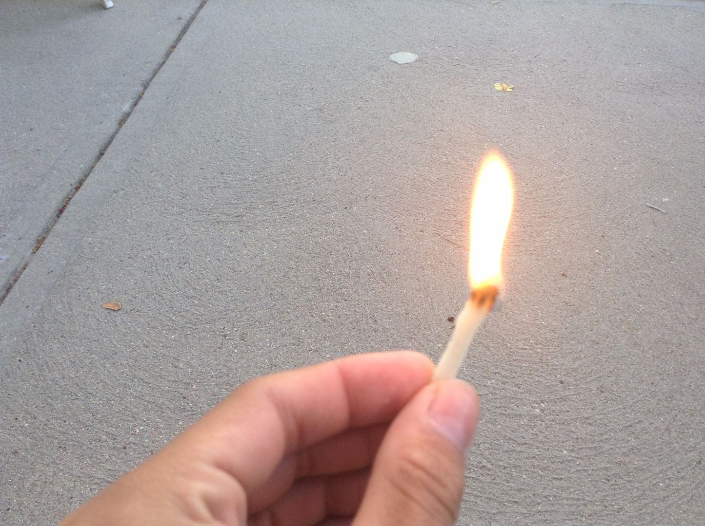 Long Lasting Wax Fire Starter 5 Steps Instructables